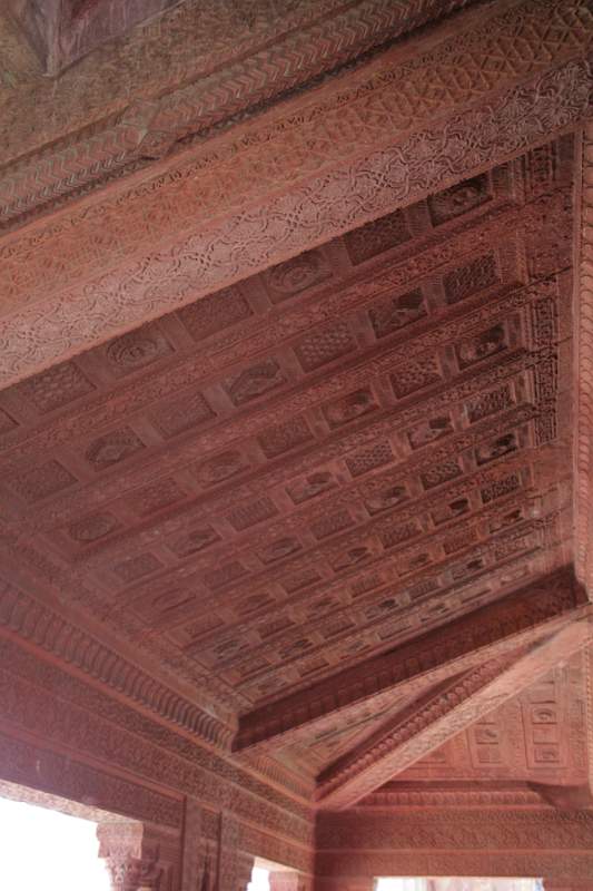 India & Nepal 2011 - 1317